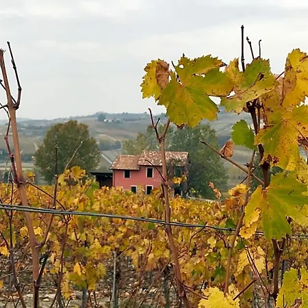 Viaggio Della *